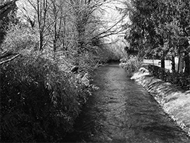Fiume_foto_in_bianco_e_nero